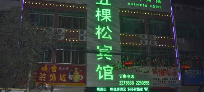 砀山五棵松宾馆图片