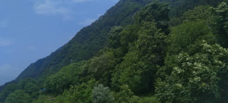 西安市南山馨苑农家乐图片