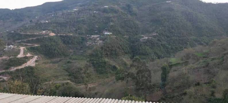 南涧泰安忆家酒店图片