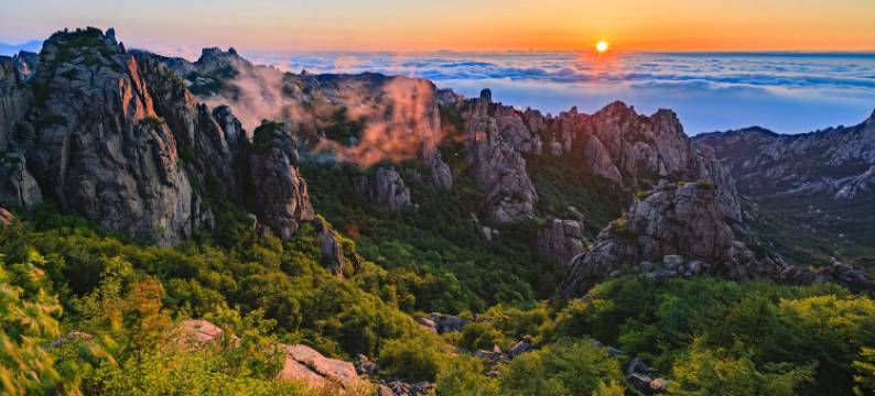 青岛海友会宾馆图片