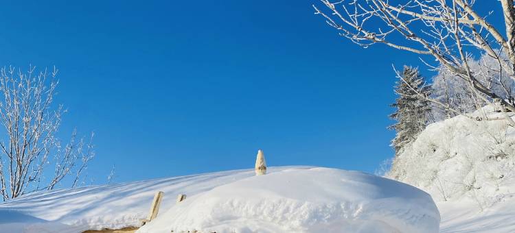 雪乡雪朵农家小院图片