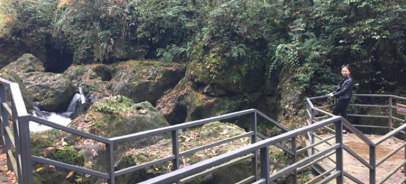 荥经欣欣休闲农庄图片