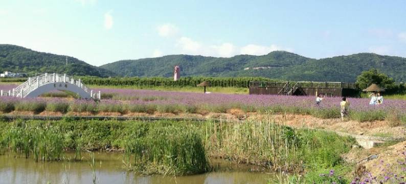 舟山清风小庄图片