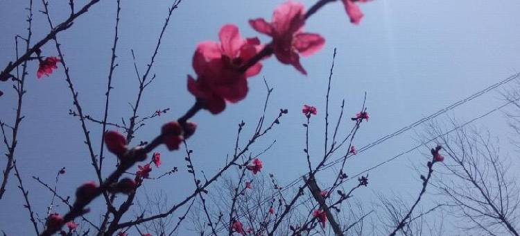 千岛湖诗羽雅阁民宿图片