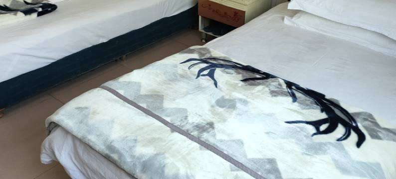 磐安九龙商务宾馆图片