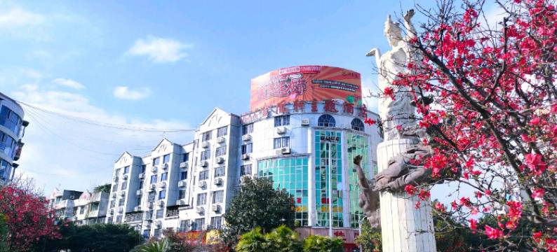 金凰轩主题商务酒店(绵竹中心广场店)图片