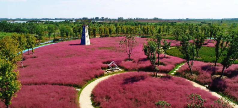 白马湖国际房车营地图片