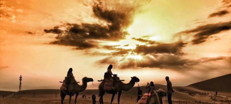 嘉峪关春山外宾馆图片