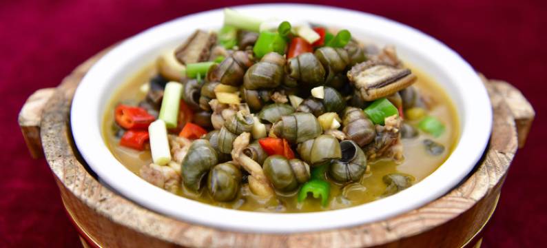 桐庐天子地森林康养度假酒店图片