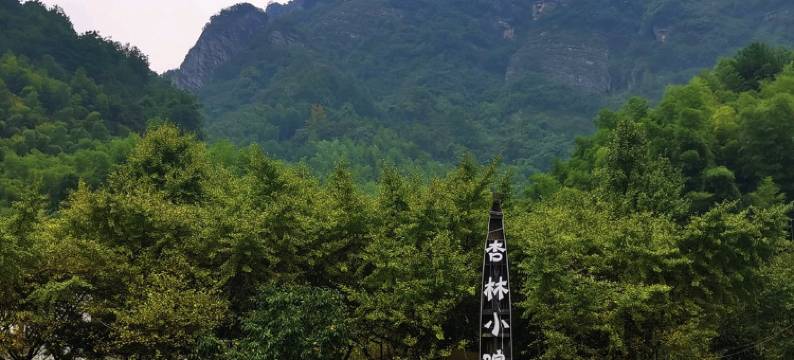 新宁杏林小院特色民宿图片