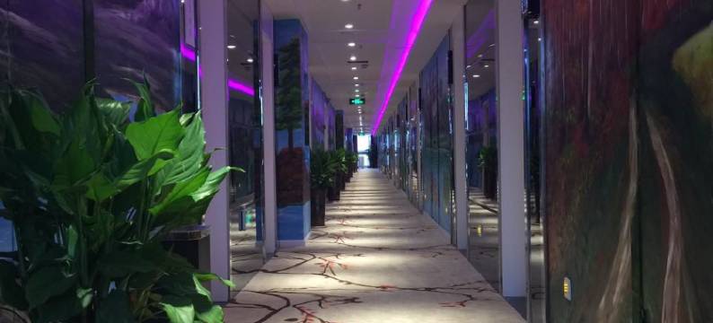 橄榄树酒店(郑州黄河科技学院橄榄城店)图片