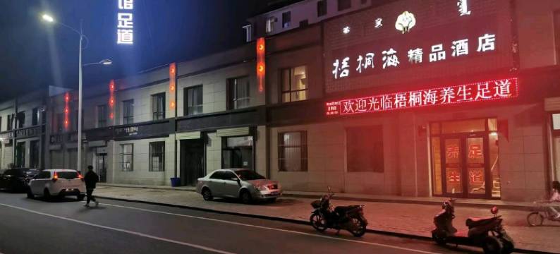 阿拉善右旗梧桐海精品酒店图片