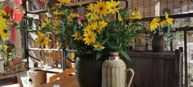 歙县阳产土楼云起时民宿图片