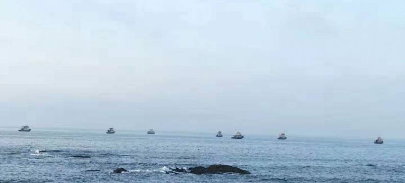 日照贞国渔家图片