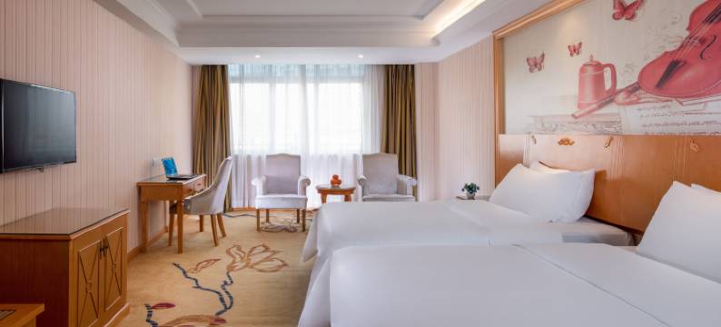 维也纳酒店(东莞大朗店)图片