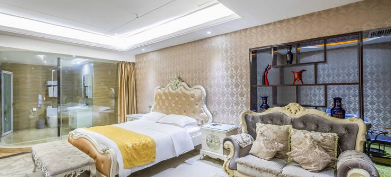 新野丽晶国际酒店图片