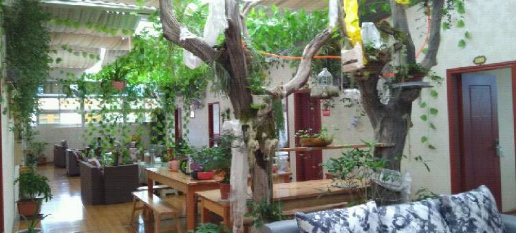 林芝心月宾馆图片