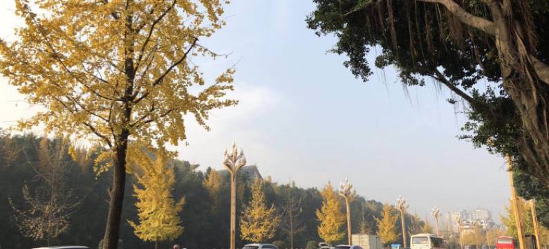 峨眉山晶源酒店(大佛禅院店)图片