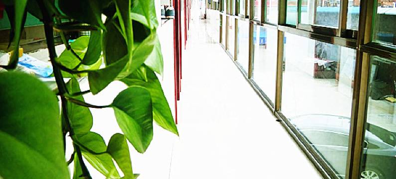 方山雅舒宾馆图片