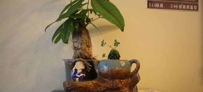 栖蔓精品客栈(磨西古镇海螺沟游客中心店)图片