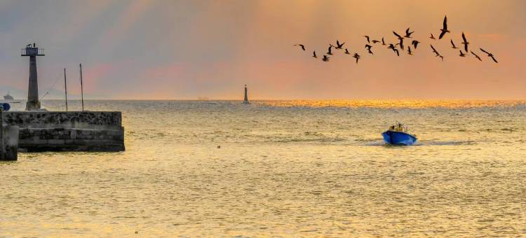 阳江珍珠湾海景公寓图片