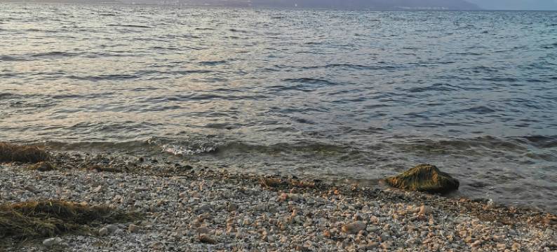 华宁瑞驰客栈图片