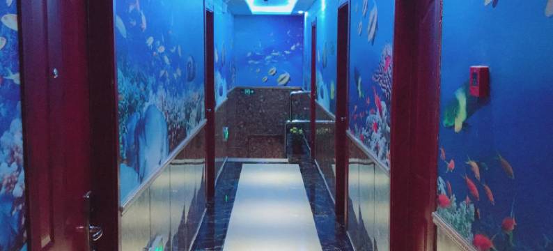 上海戴发时尚宾馆图片