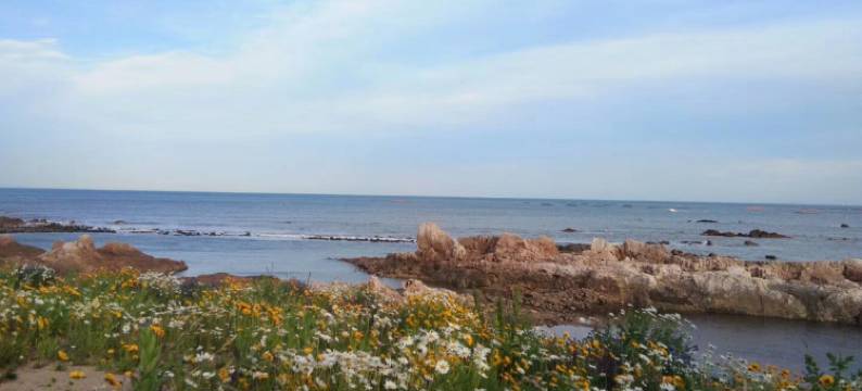 青岛鑫盛海公寓图片