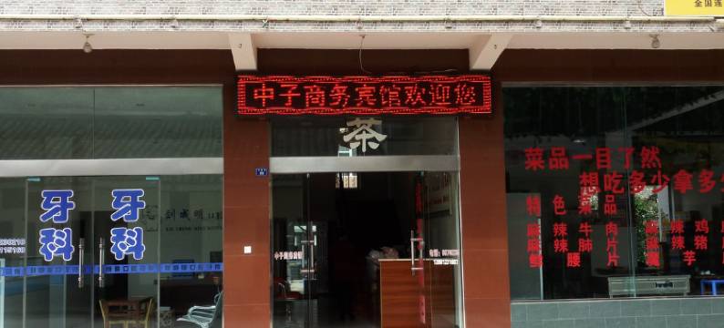 广元中子商务宾馆图片