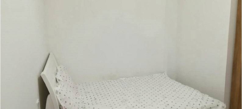 深圳鸿运住宿(大芬地铁站店)图片