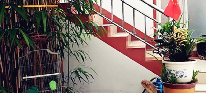 青岛奥源发宾馆图片