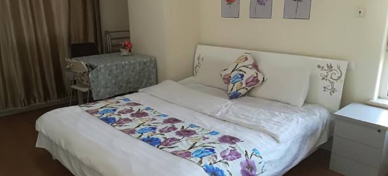 大连乐家时尚酒店式公寓图片