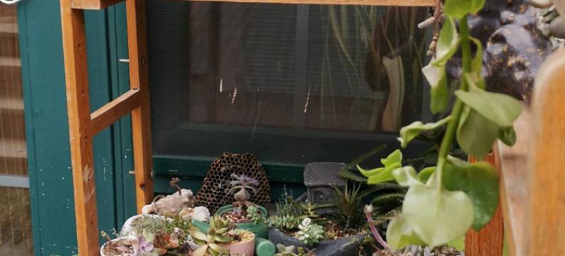 青岛960青年旅舍(五四广场店)图片