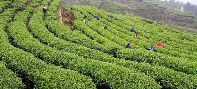 重庆豪家酒店图片
