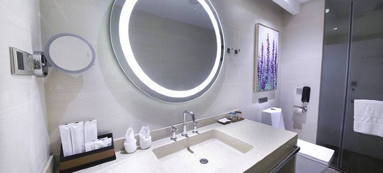 麗枫酒店(北京广安门丽泽商务区店)图片