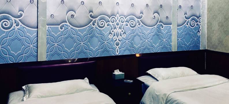 南乐播维宾馆图片