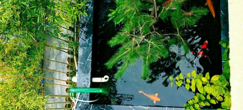 枣庄田甲申商务宾馆图片