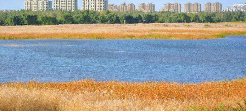 科左中旗东华宾馆图片