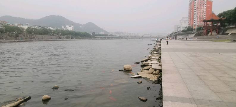 福鼎希瑞酒店图片