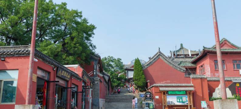 泰安宜居客栈(泰山红门店)图片