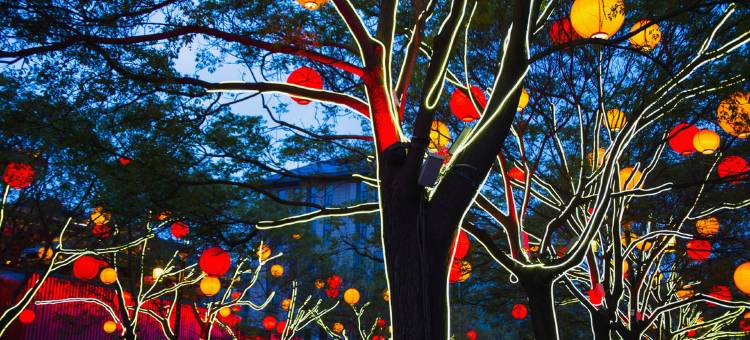 布丁严选酒店(西安小寨大雁塔店)图片