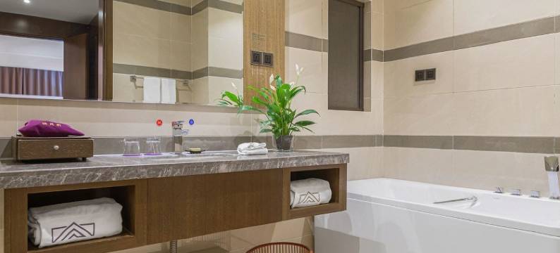 紫金·华都酒店(盐城金融城店)图片