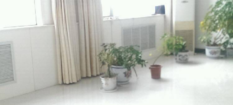 阳城金圪坨崔小青农家乐图片