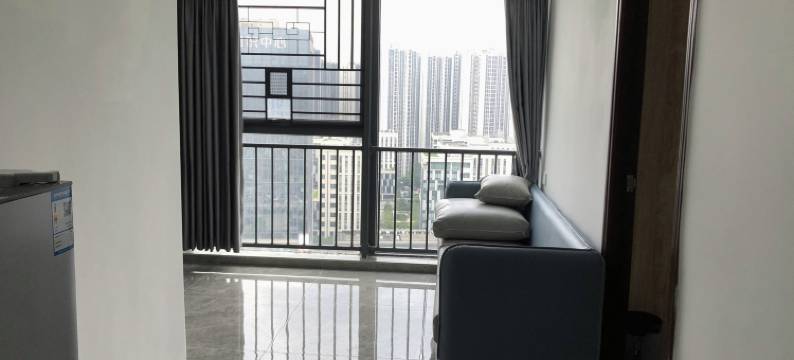 广州未来公寓(中新广州知识城旺村地铁站店)图片