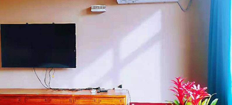 林芝雅捷酒店图片