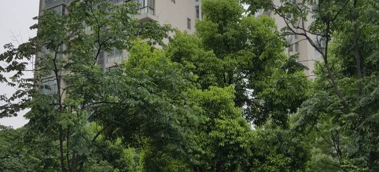 99旅馆连锁(上海浦东金桥金豫路店)图片