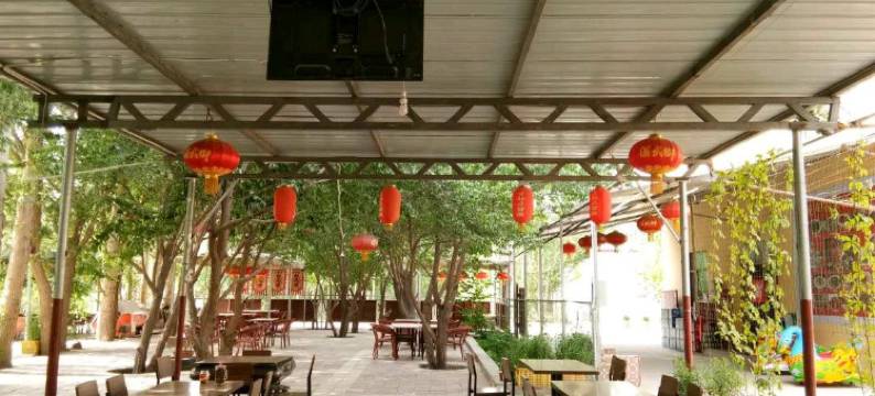 敦煌相见欢农家园图片