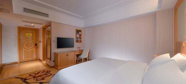 维也纳酒店(乐东公园店)图片