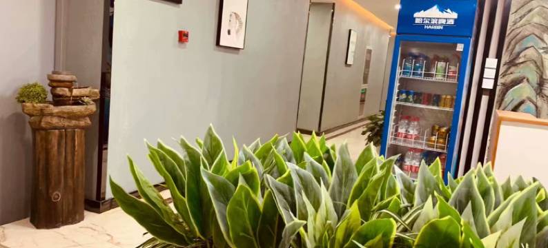 昆山西亚特客房图片