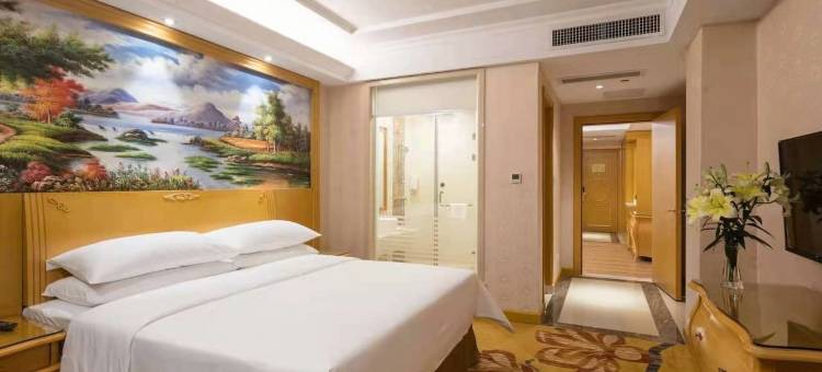 维也纳3好酒店(深圳龙华大浪商业中心店)图片